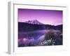 Reflection Lake with Summer Alpine Wildflowers, Mt. Rainier National Park, Washington, USA-Stuart Westmoreland-Framed Photographic Print