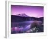 Reflection Lake with Summer Alpine Wildflowers, Mt. Rainier National Park, Washington, USA-Stuart Westmoreland-Framed Photographic Print