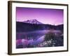 Reflection Lake with Summer Alpine Wildflowers, Mt. Rainier National Park, Washington, USA-Stuart Westmoreland-Framed Photographic Print