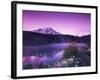 Reflection Lake with Summer Alpine Wildflowers, Mt. Rainier National Park, Washington, USA-Stuart Westmoreland-Framed Photographic Print