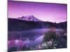 Reflection Lake with Summer Alpine Wildflowers, Mt. Rainier National Park, Washington, USA-Stuart Westmoreland-Mounted Photographic Print