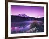 Reflection Lake with Summer Alpine Wildflowers, Mt. Rainier National Park, Washington, USA-Stuart Westmoreland-Framed Photographic Print