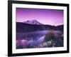 Reflection Lake with Summer Alpine Wildflowers, Mt. Rainier National Park, Washington, USA-Stuart Westmoreland-Framed Photographic Print