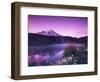 Reflection Lake with Summer Alpine Wildflowers, Mt. Rainier National Park, Washington, USA-Stuart Westmoreland-Framed Photographic Print