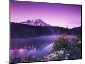 Reflection Lake with Summer Alpine Wildflowers, Mt. Rainier National Park, Washington, USA-Stuart Westmoreland-Mounted Photographic Print