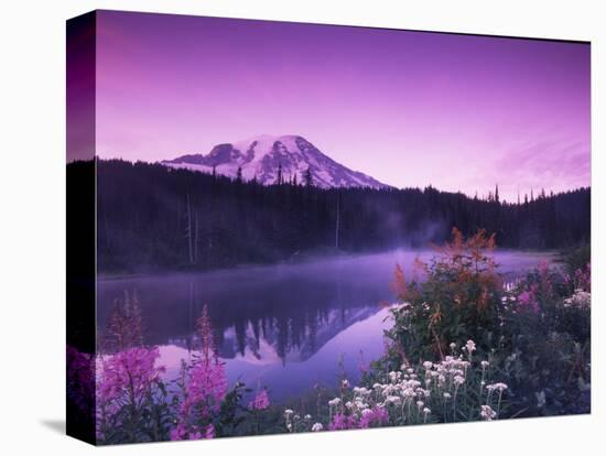 Reflection Lake with Summer Alpine Wildflowers, Mt. Rainier National Park, Washington, USA-Stuart Westmoreland-Stretched Canvas