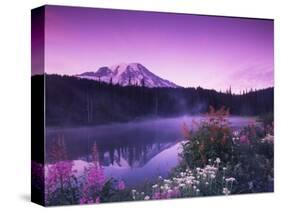 Reflection Lake with Summer Alpine Wildflowers, Mt. Rainier National Park, Washington, USA-Stuart Westmoreland-Stretched Canvas