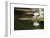 Reflection Lotus Flower-Hayati Kayhan-Framed Premium Photographic Print