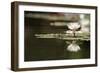 Reflection Lotus Flower-Hayati Kayhan-Framed Photographic Print