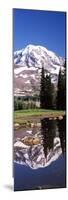 Reflection of a Mountain in a Lake, Mt Rainier, Pierce County, Washington State, USA-null-Mounted Photographic Print