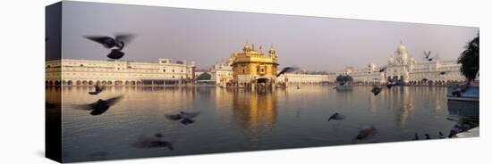 Reflection of a Temple in a Lake, Golden Temple, Amritsar, Punjab, India-null-Stretched Canvas