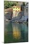 Reflection of a Yellow House, Cinqueterra, Italy-Steven Boone-Mounted Photographic Print