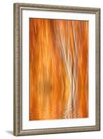 Reflection of Autumn-Colored Aspen Trees, Grant Lake, California, USA-Jaynes Gallery-Framed Photographic Print