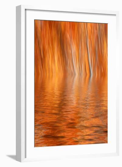 Reflection of Autumn-Colored Aspen Trees, Grant Lake, California, USA-Jaynes Gallery-Framed Photographic Print