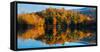 Reflection of autumn trees in a lake, West Bolton, Quebec, Canada-null-Framed Stretched Canvas