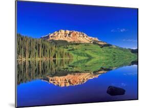 Reflection of Beartooth Butte into Beartooth Lake, Wyoming, USA-Chuck Haney-Mounted Photographic Print