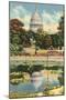 Reflection of Capitol Dome, Botanical Gardens-null-Mounted Art Print