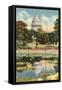 Reflection of Capitol Dome, Botanical Gardens-null-Framed Stretched Canvas