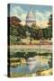 Reflection of Capitol Dome, Botanical Gardens-null-Stretched Canvas