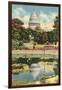 Reflection of Capitol Dome, Botanical Gardens-null-Framed Art Print