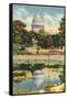 Reflection of Capitol Dome, Botanical Gardens-null-Framed Stretched Canvas