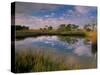 Reflection of Clouds on Tidal Pond in Morning Light, Savannah, Georgia, USA-Joanne Wells-Stretched Canvas