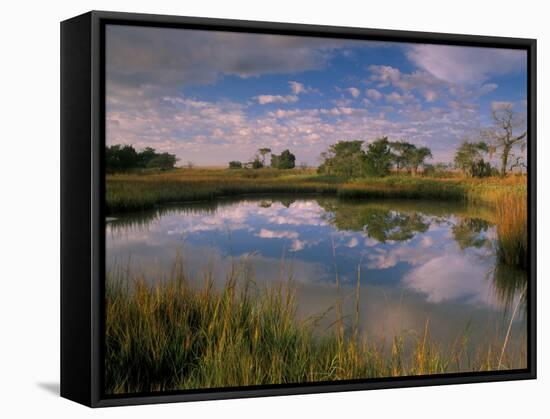 Reflection of Clouds on Tidal Pond in Morning Light, Savannah, Georgia, USA-Joanne Wells-Framed Stretched Canvas