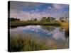 Reflection of Clouds on Tidal Pond in Morning Light, Savannah, Georgia, USA-Joanne Wells-Stretched Canvas