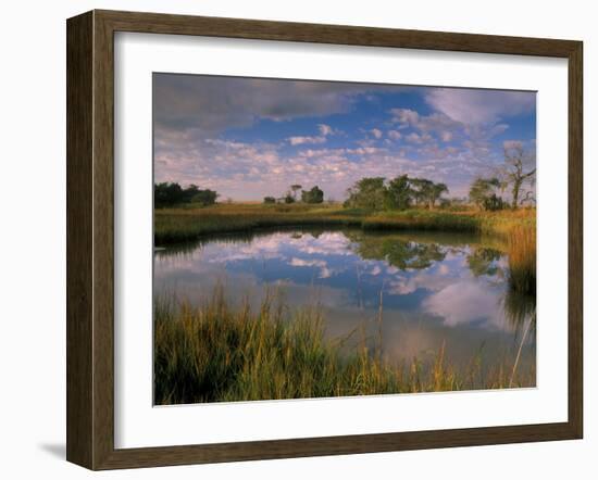 Reflection of Clouds on Tidal Pond in Morning Light, Savannah, Georgia, USA-Joanne Wells-Framed Premium Photographic Print