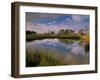 Reflection of Clouds on Tidal Pond in Morning Light, Savannah, Georgia, USA-Joanne Wells-Framed Premium Photographic Print