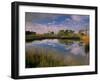 Reflection of Clouds on Tidal Pond in Morning Light, Savannah, Georgia, USA-Joanne Wells-Framed Premium Photographic Print