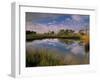 Reflection of Clouds on Tidal Pond in Morning Light, Savannah, Georgia, USA-Joanne Wells-Framed Premium Photographic Print