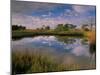 Reflection of Clouds on Tidal Pond in Morning Light, Savannah, Georgia, USA-Joanne Wells-Mounted Premium Photographic Print