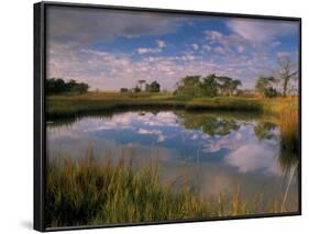 Reflection of Clouds on Tidal Pond in Morning Light, Savannah, Georgia, USA-Joanne Wells-Framed Photographic Print