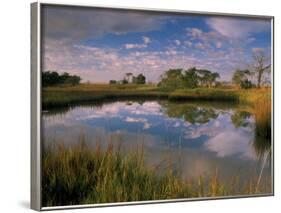 Reflection of Clouds on Tidal Pond in Morning Light, Savannah, Georgia, USA-Joanne Wells-Framed Photographic Print