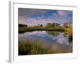 Reflection of Clouds on Tidal Pond in Morning Light, Savannah, Georgia, USA-Joanne Wells-Framed Photographic Print