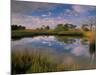 Reflection of Clouds on Tidal Pond in Morning Light, Savannah, Georgia, USA-Joanne Wells-Mounted Photographic Print