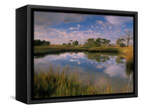 Reflection of Clouds on Tidal Pond in Morning Light, Savannah, Georgia, USA-Joanne Wells-Framed Stretched Canvas