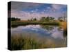 Reflection of Clouds on Tidal Pond in Morning Light, Savannah, Georgia, USA-Joanne Wells-Stretched Canvas