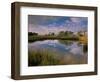 Reflection of Clouds on Tidal Pond in Morning Light, Savannah, Georgia, USA-Joanne Wells-Framed Photographic Print