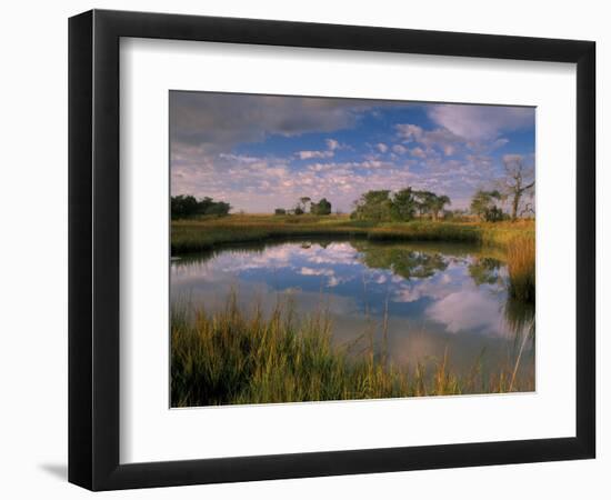 Reflection of Clouds on Tidal Pond in Morning Light, Savannah, Georgia, USA-Joanne Wells-Framed Photographic Print