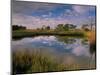 Reflection of Clouds on Tidal Pond in Morning Light, Savannah, Georgia, USA-Joanne Wells-Mounted Photographic Print