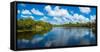 Reflection of clouds on water, Deer Creek in Deer Prairie Creek Preserve, Venice, Florida, USA-null-Framed Stretched Canvas