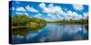 Reflection of clouds on water, Deer Creek in Deer Prairie Creek Preserve, Venice, Florida, USA-null-Stretched Canvas