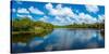 Reflection of clouds on water, Deer Creek in Deer Prairie Creek Preserve, Venice, Florida, USA-null-Stretched Canvas