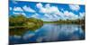 Reflection of clouds on water, Deer Creek in Deer Prairie Creek Preserve, Venice, Florida, USA-null-Mounted Photographic Print