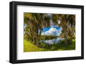 Reflection of Clouds on Water, Deer Prairie Creek Preserve, Venice, Sarasota County, Florida, USA-null-Framed Photographic Print