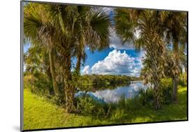 Reflection of Clouds on Water, Deer Prairie Creek Preserve, Venice, Sarasota County, Florida, USA-null-Mounted Photographic Print