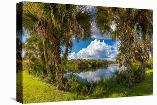 Reflection of Clouds on Water, Deer Prairie Creek Preserve, Venice, Sarasota County, Florida, USA-null-Stretched Canvas
