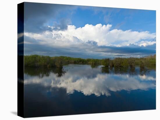 Reflection of Clouds on Water, Everglades National Park, Florida, USA-null-Stretched Canvas